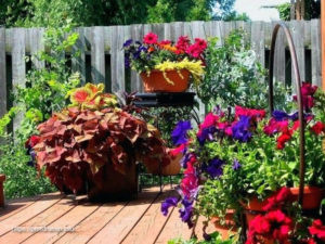 Unique Backyard Planters - Outdoor Designing With Pot Gardening and Backyard Planters