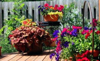 Unique Backyard Planters - Outdoor Designing With Pot Gardening and Backyard Planters