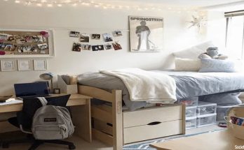 Sensible Concepts for Decorating Your Dorm Room