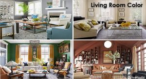 Living Room Color Schemes for A Cozy, Livable Space