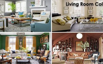 Living Room Color Schemes for A Cozy, Livable Space