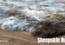 Why Sheepskin Rugs Are Beneficial to Your Health