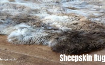 Why Sheepskin Rugs Are Beneficial to Your Health