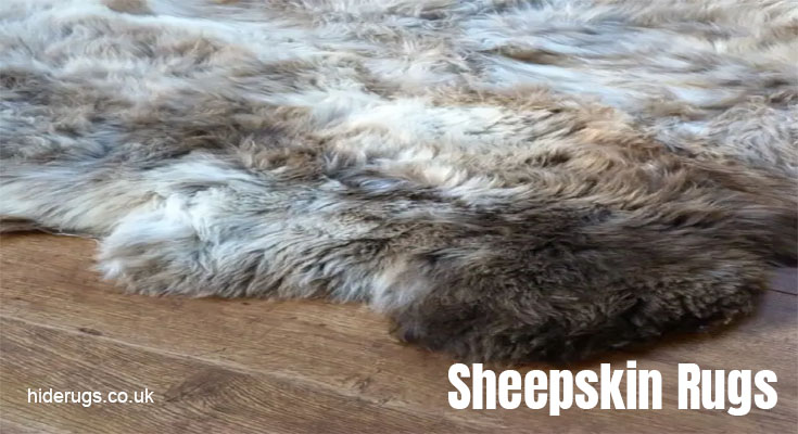 Why Sheepskin Rugs Are Beneficial to Your Health